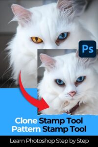 how to use photoshop clone tool